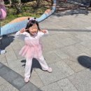 서들8길 | 몽글이의 두번째 심장 초음파 후기 (양부대 병원/이형두 교수님)