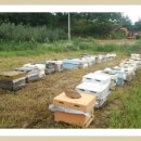 신왕농장 이미지