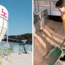 밝은농장 이미지