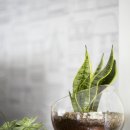 야간)인터넷쇼핑몰 창업 이미지