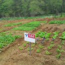 진정농장 이미지