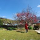 산나물밥상 이미지