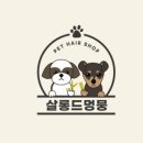살롱드멍뭉
