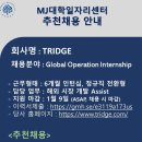 [TRIDGE] Global Operation Internship (6개월, 정규직 전환형)(2022.01.09) 이미지