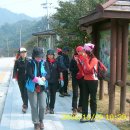 털보슈퍼 이미지