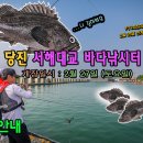 서해대교바다낚시터 이미지
