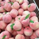 아주돼지국밥 이미지