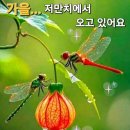 사랑나무님 방그르르 이미지