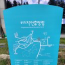 동두천 자연휴양림, 트리탑, 동두천 가볼만한 곳