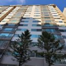 삼일무지개 이미지