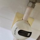 부원공인중개사 | 김해시 장유,내외동,부원동등등 반려동물 강아지 고양이 냄새 제거! 전문 입주청소 퇴실청소 로켓트청소...