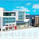 울산애니원고등학교 Daum카페