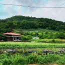 경동로(서) 이미지