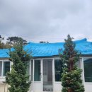 죽성쌀롱 이미지