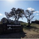 발현목장 이미지