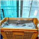 한일익스프레스 | 의정부포장이사 한일익스프레스 후기 이사 스트레스가 사라진 이유