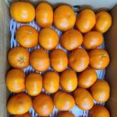 중앙로101번길 이미지