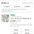 쿵스 이미지