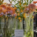 아름다운달과별약국 이미지