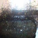 열미리보건진료소 이미지