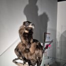 경상북도산림과학박물관 | 안동여행) 경상북도산림과학박물관 [잊혀가는 산림사료의 보존을 위한 곳]