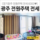 J2317 네이버블로그