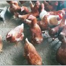 산여울농장 이미지