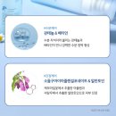미스트블루
