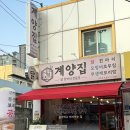 마돈나 | 대전 봉명동 구암역맛집 무생채 보리밥 무료 닭한마리맛집 솔직후기 :: 계양집