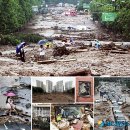 우면산3-33 이미지