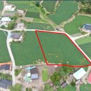 양지-2912 이미지