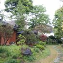 다소니 전통찻집 이미지