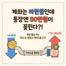 미소테크 | TIGER 미국AI빅테크10타겟데일리커버드콜 배당금 80만 원 받은 솔직 후기