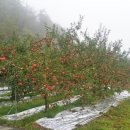 고향장여관 이미지