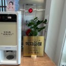 도도리안 | 제주 공항 근처 맛집 <도도리국수> 내돈내산 후기