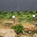 산들꽃펜션 이미지