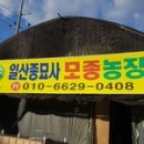 일산종묘사