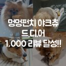 멍멍펀치 이미지