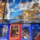 청춘수산 이미지