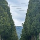 덕산온천 | 충남 예산 여행 가볼만한 곳 ~ 덕산온천족욕장 &amp; 덕산온천황톳길 무료 후기