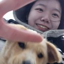 스테이고도 | 경북 군위 노키즈존 캠핑장 추천 스테이700, 효도 여행 예약 방법 및 꿀팁 정리