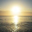 그로우모모 두피 탈모 케어센터 이미지