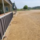 순한방병원 이미지