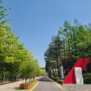 서대전어린이집 | [대전시립미술관]불멸의 화가 빈센트 반 고흐