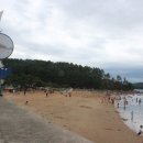 물안해수욕장 이미지