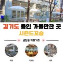 카페드도쿄 아산점 | 용인 보정동 카페거리 데이트하기 좋은 감성 소금빵 맛집 시즌드꼬숑 브런치 후기