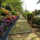 두송반도 이미지