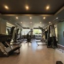 바디메틱 이미지