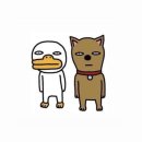 지윤상점 | 후쿠오카에서 생긴 일