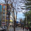 서현1동.우성아파트 이미지